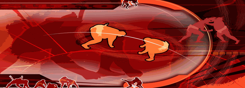 大型光伏电站.png